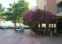 Hotel Don Juan Beach Resort 1
